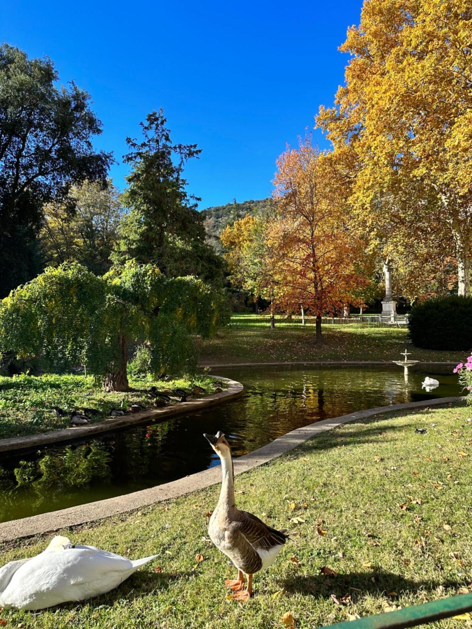 Apartmán Le Perchoir Du Parc Coeur Historique Anduze Exteriér fotografie